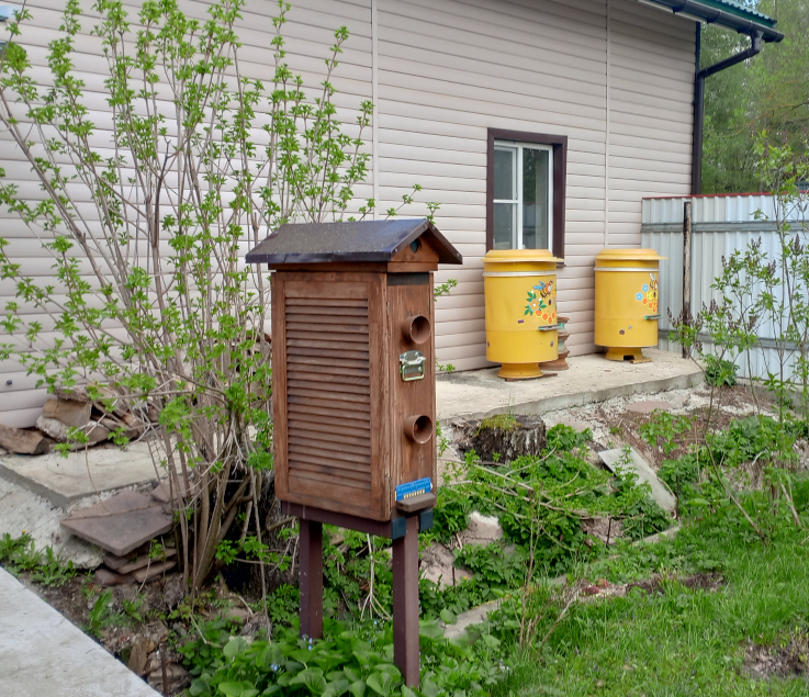 2 улья Лужкова