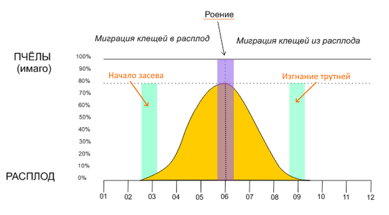 Миграционное соотношение