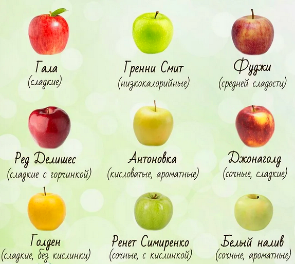 Сорта яблок